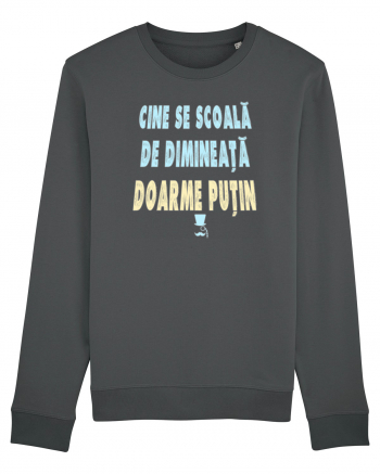 CINE SE SCOALA DE DIMINEATA...DOARME PUTIN :D Anthracite
