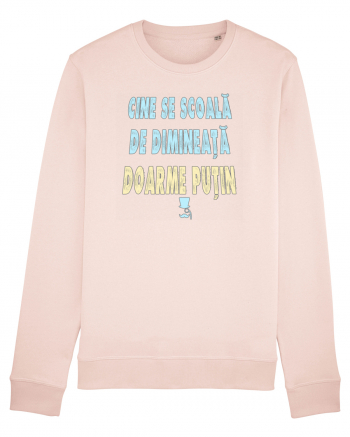 CINE SE SCOALA DE DIMINEATA...DOARME PUTIN :D Candy Pink