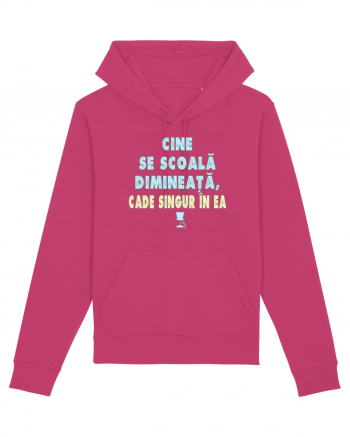CINE SE SCOALA DE DIMINEATA...CADE SINGUR IN EA :D Raspberry