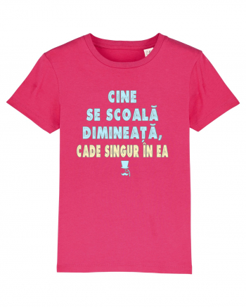 CINE SE SCOALA DE DIMINEATA...CADE SINGUR IN EA :D Raspberry