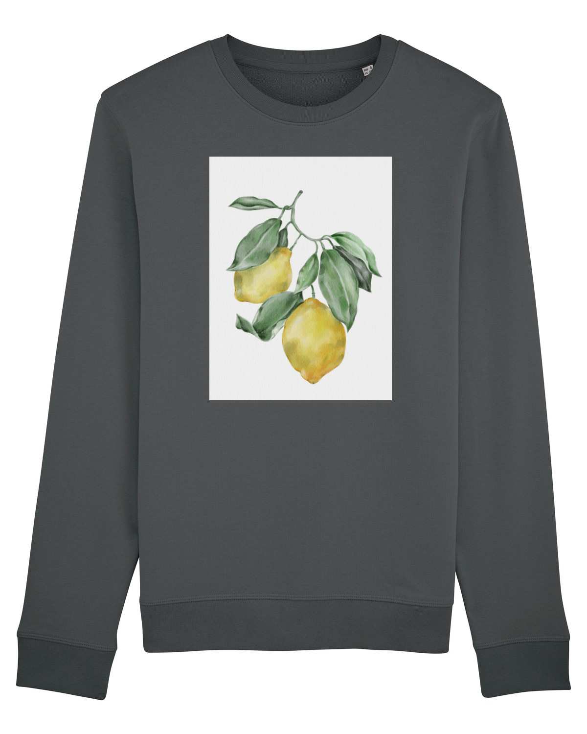 Bluză mânecă lungă Unisex Rise Anthracite