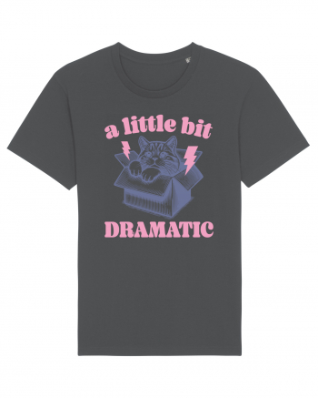 A Little Bit Dramatic Anthracite