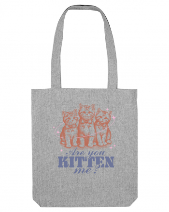 Are You Kitten Me? Heather Grey