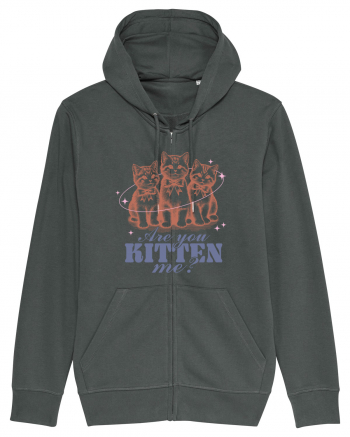Are You Kitten Me? Anthracite