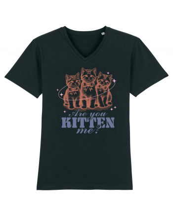 Are You Kitten Me? Black