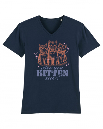 Are You Kitten Me? French Navy
