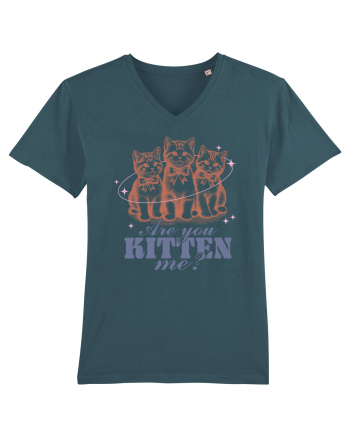 Are You Kitten Me? Stargazer