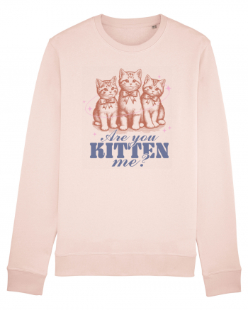 Are You Kitten Me? Candy Pink