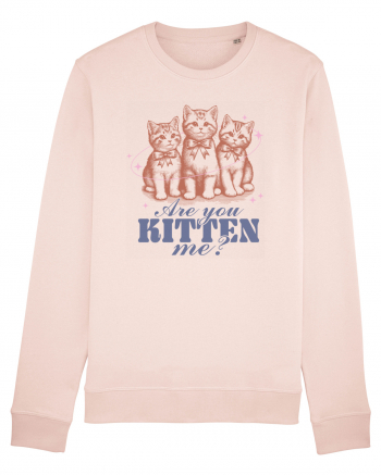 Are You Kitten Me? Bluză mânecă lungă Unisex Rise