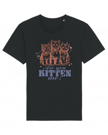 Are You Kitten Me? Black