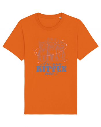 Are You Kitten Me? Bright Orange