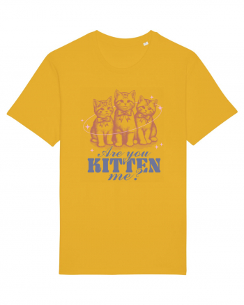 Are You Kitten Me? Spectra Yellow