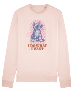 I Do What I Want Bluză mânecă lungă Unisex Rise