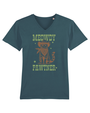 Meowdy Pawtner Stargazer
