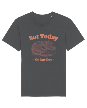 Not Today Or Any Day Anthracite