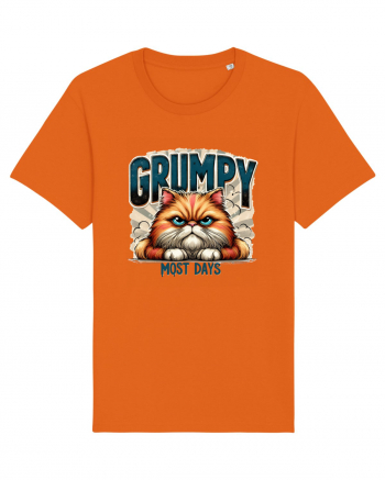 Grumpy Most Days Bright Orange