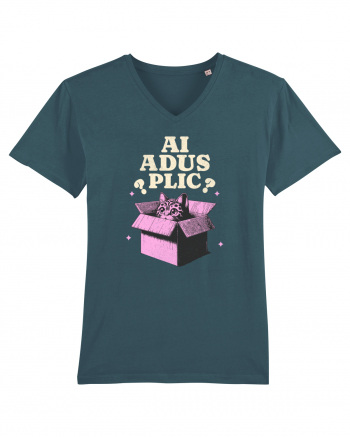 Pisica simpatica - ai adus plic? Stargazer