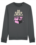 Pisica simpatica - ai adus plic? Bluză mânecă lungă Unisex Rise
