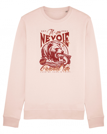 Design cu ursi - n-am nevoie de gunoiul tau, lasa-mi casa-n pace! Candy Pink