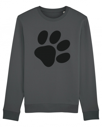 Kitty paw Anthracite