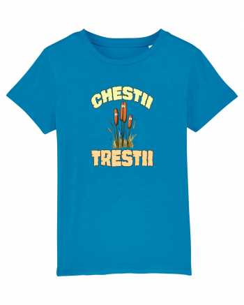 CHESTII TRESTII Azur