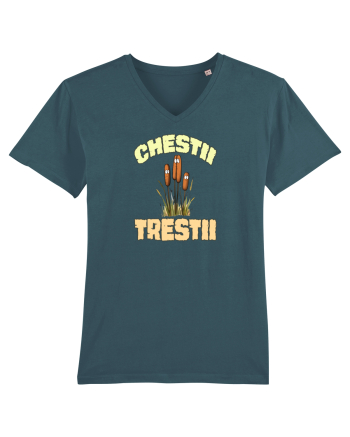 CHESTII TRESTII Stargazer