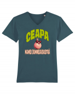 ` CEAPA MAMEI DUMNEAVOASTRA :)) Tricou mânecă scurtă guler V Bărbat Presenter