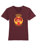 SORRY FOR BEING A SEXY ARIES Tricou mânecă scurtă guler V Bărbat Presenter