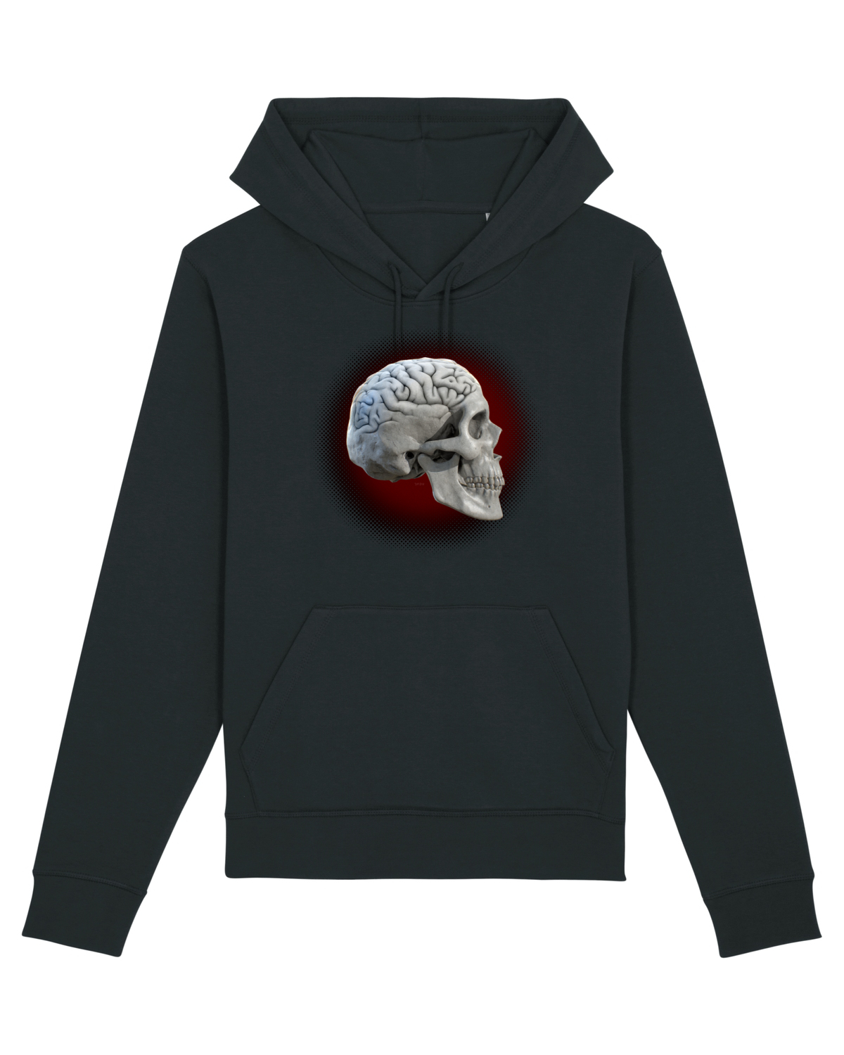 Craniu cu creier - skullbrain 01