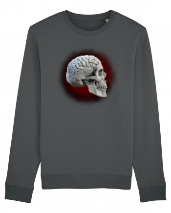 Craniu cu creier - skullbrain 01 Anthracite