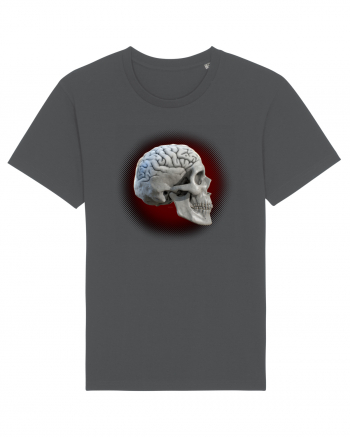 Craniu cu creier - skullbrain 01 Anthracite