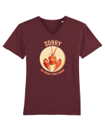 SORRY FOR BEING A SEXY  CANCER (RAC) Tricou mânecă scurtă guler V Bărbat Presenter