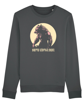 NOAPTEA SFANTULUI ANDREI 6 Anthracite