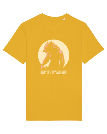 NOAPTEA SFANTULUI ANDREI 6 Spectra Yellow