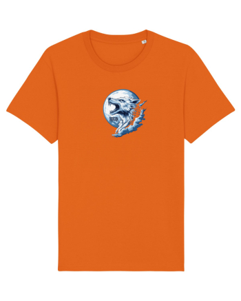 DRACO / DRACON - STEAGUL DACIC 7 Bright Orange