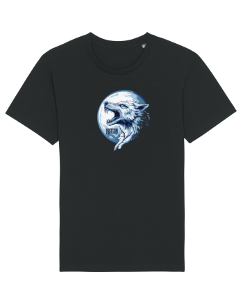 DRACO / DRACON - STEAGUL DACIC 7b Black