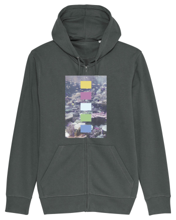 Coral Reef Anthracite
