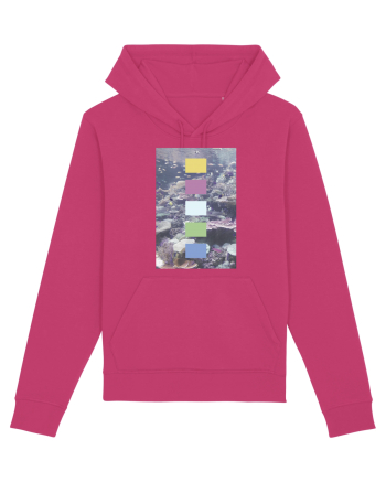 Coral Reef Raspberry