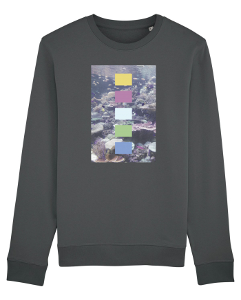 Coral Reef Anthracite