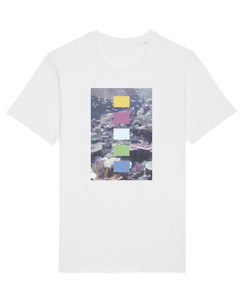 Coral Reef White