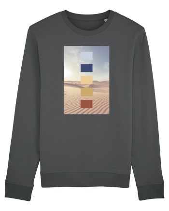 Desert Life Anthracite