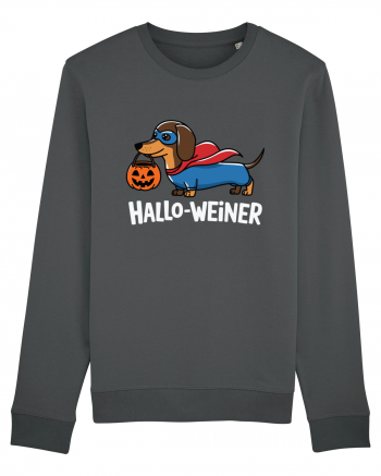 HalloWeiner Funny Halloween SuperDog Anthracite