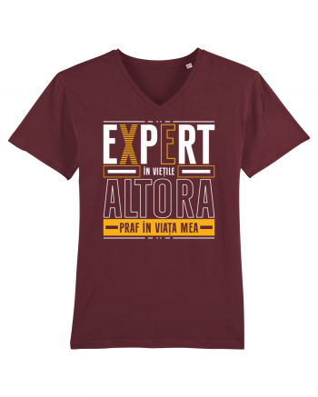 Expert în viețile altora Burgundy