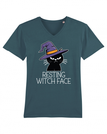 Resting Witch Face Halloween Cat Stargazer