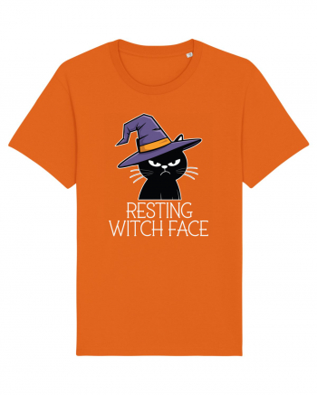 Resting Witch Face Halloween Cat Bright Orange