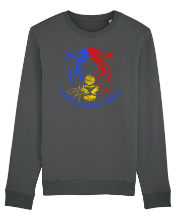 PROUD ROMANIAN WOMAN- Romanca mandra Anthracite