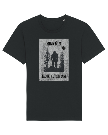 Liric pentru el Black