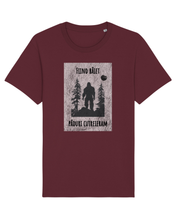 Liric pentru el Burgundy