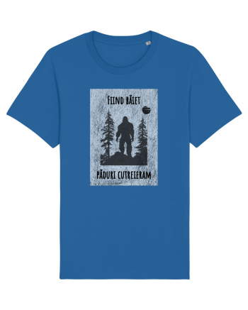 Liric pentru el Royal Blue
