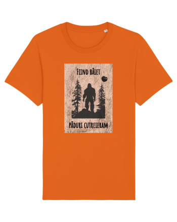 Liric pentru el Bright Orange